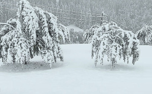 Snijeg napadao kao usred zime: Pogledajte snimak iz Čajniča