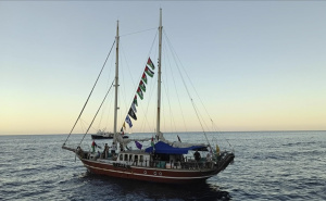 Aktivisti ne odustaju: Devet brodova humanitarne flotile nastavlja put ka Gazi