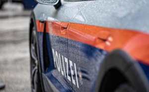 Porodica iz BiH s debelim dosijeom u fokusu njemačke policije: Otac i kćerka uhvaćeni tokom pljačke