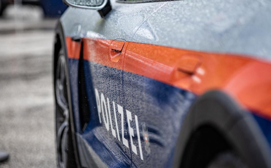 Porodica iz BiH s debelim dosijeom u fokusu njemačke policije: Otac i kćerka uhvaćeni tokom pljačke