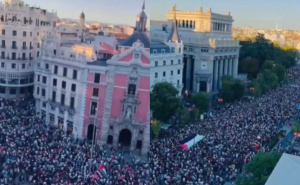 Najmasovniji skup: Stotine hiljada građana Španije na protestima za Palestinu