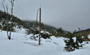 Snijeg u Srbiji stvara probleme: Crna Trava "odsječena" od svijeta, putevi neprohodni, nema struje