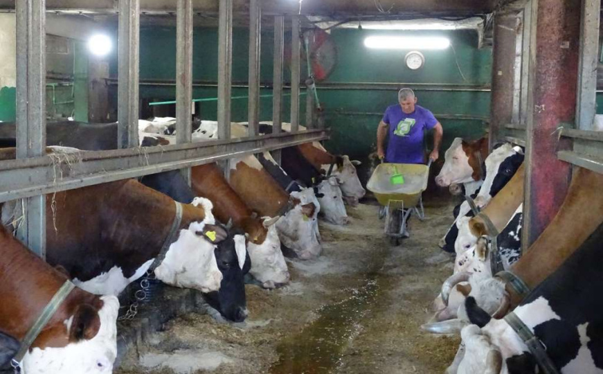 Poljoprivreda u ovom dijelu BiH pred kolapsom: Farmeri traže veće poticaje od vlasti