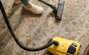 Šta kaže nauka: Koliko često treba usisavati?