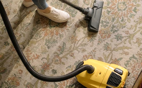 Šta kaže nauka: Koliko često treba usisavati?