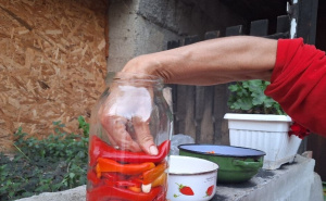 Kad domaćice krenu u pripremu zimnice: Da li ste ikad pravili tumbane paprike?