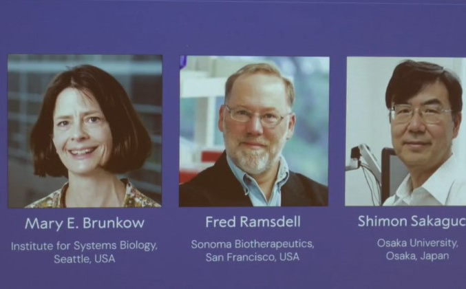 Ovo su dobitnici: Dodijeljena Nobelova nagrada za fiziologiju ili medicinu