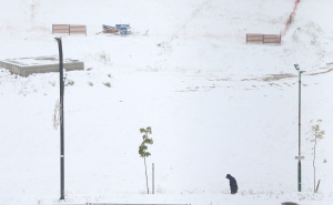 Vraća li se stara, hladna zima? Meteorolozi prognozirali šta nam stiže
