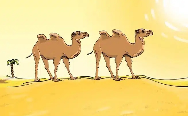 Test inteligencije: Možete li uočiti grešku koja se nalazi na slici?