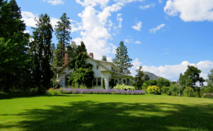 Greške koje vrtlari prave tokom jeseni u održavanju travnjaka: Evo zašto vam se širi mahovina