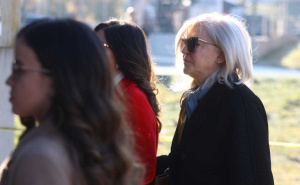 Tužilaštvo BiH traži veću kaznu za Vasviju Vidović