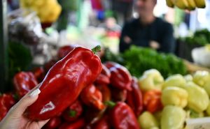 Za kupus nisu bili zainteresirani: Mladom poljoprivredniku lopovi ukrali pet tona paprike