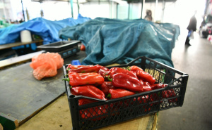 Zimnica postala luksuz: "Ajvar je ove godine skuplji od mesa"