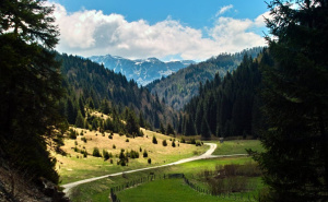 Mediji iz regije savjetuju: Posjetite planinu u BiH gdje jesen izgleda kao bajka