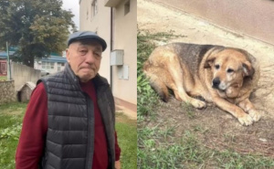 Halidov prijatelj i vozač: "Nakon vijesti o smrti, njegov pas ne jede i ne pije"