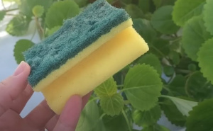 Ne bacajte stare spužve: Ovo je nekoliko načina kako da ih ponovno iskoristite