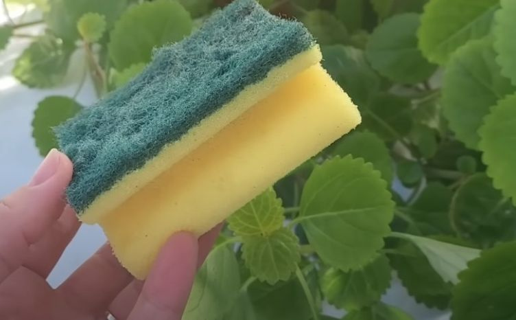 Ne bacajte stare spužve: Ovo je nekoliko načina kako da ih ponovno iskoristite