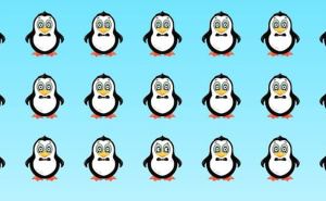 Mozgalica: Koji se pingvin razlikuje od ostalih?