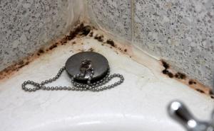 Savjeti profesionalaca: Kako spriječiti ponovno pojavljivanje buđi?