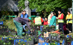 Pripreme za zimsku sezonu u Sarajevu: Uređuju se travnate površine i sadi se novo cvijeće