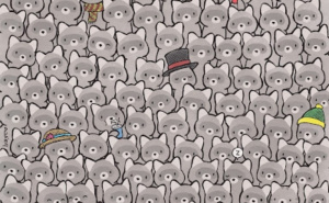 Skoro pa nemoguća mozgalica: Siva mačka se sakrila među rakune, pronađite je za 10 sekundi