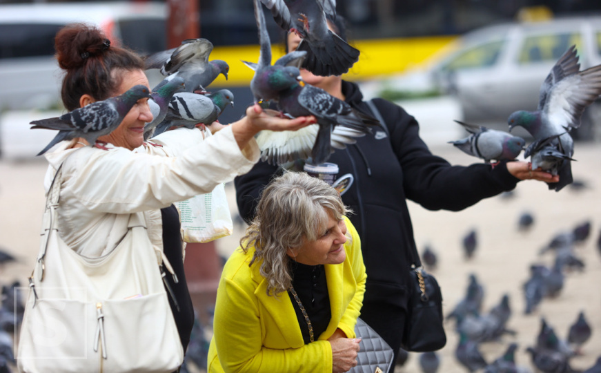 Poletjela golubica sa Baščaršije: Sarajevo se sprema za vikend, grad pun turista