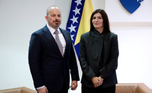 Ćudić sa Ginkelom: Kritična potreba za deblokadom ključnih reformskih procesa