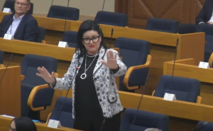 'Ajmo za narod ođe: Novi hit Dodikove zastupnice koju pamtimo po izjavi 'nemoj mi se obadati'