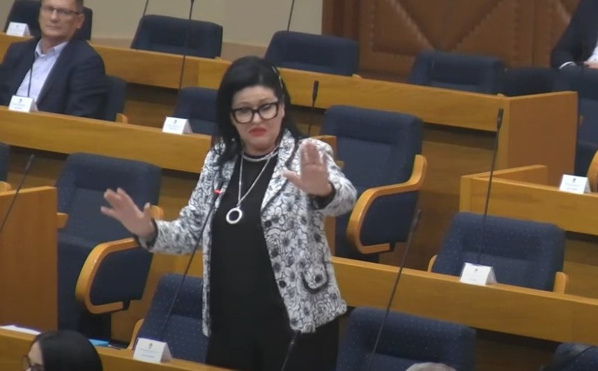 'Ajmo za narod ođe: Novi hit Dodikove zastupnice koju pamtimo po izjavi 'nemoj mi se obadati'