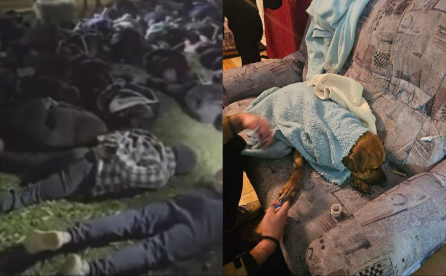 Uznemirujuće: Objavljen snimak s lokacije gdje je zbog borbi pasa u BiH uhapšeno 14 osoba