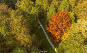 Prirodna ljepota koja oduzima dah: Vrelo Bosne u bojama jeseni