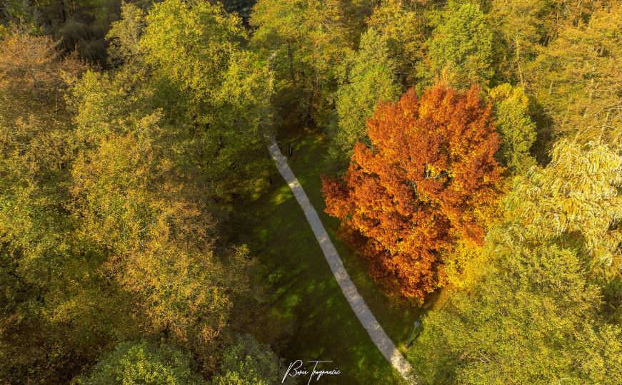 Prirodna ljepota koja oduzima dah: Vrelo Bosne u bojama jeseni