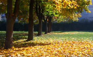 BH Meteo najavio preokret: Pročitajte kakvo nas vrijeme očekuje u narednim danima