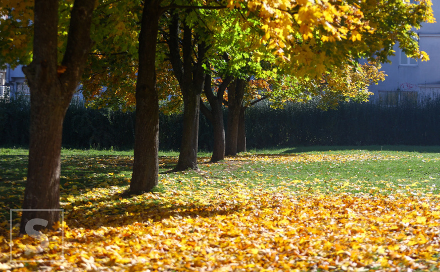BH Meteo najavio preokret: Pročitajte kakvo nas vrijeme očekuje u narednim danima