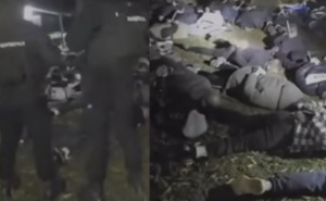 Novi detalji akcije 'Sambo': Sedam osoba pušteno na slobodu, mučeni psi smješteni u azil