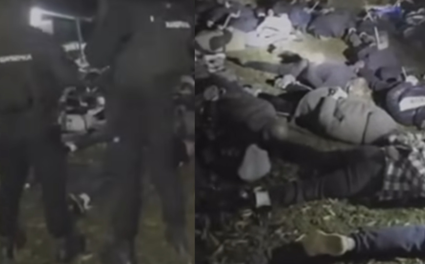 Novi detalji akcije 'Sambo': Sedam osoba pušteno na slobodu, mučeni psi smješteni u azil