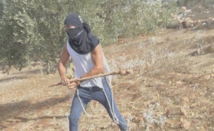 Novi val nasilja na Zapadnoj obali: Izraelski doseljenik štapom udario i onesvijestio Palestinku