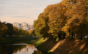 Jesenja čarolija u Sarajevu: Uživajte u prizorima sa Vilsonovog šetališta