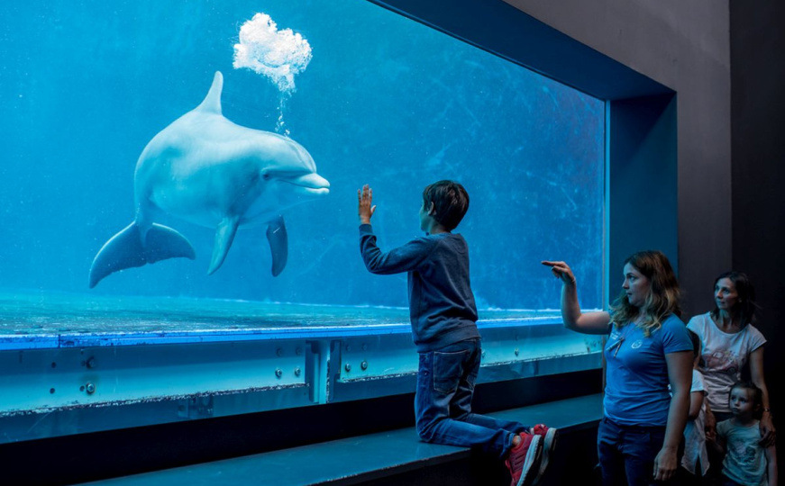 Radio Italia - Palazzi dei Rolli i Aquario di Genova