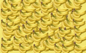 Ako imate visok IQ, vidjet ćete je odmah: Gdje se sakrila životinja među bananama?