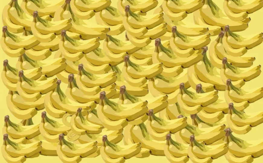 Ako imate visok IQ, vidjet ćete je odmah: Gdje se sakrila životinja među bananama?