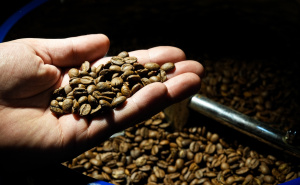 Kafa pojeftinila, ali još je luksuz: Cijene u Njemačkoj znatno više nego ranije, popusti samo privid