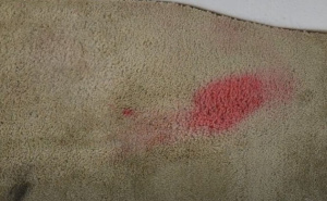 Nije sve izgubljeno: Najbolja metoda za uklanjanje tvrdokornih mrlja sa tepiha