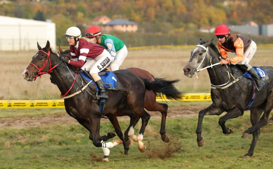 U ritmu galopa: Održane Međunarodne konjičke trke u Butmiru
