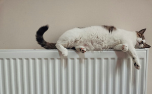 Topli dom i niži računi: Kako efikasno grijati svoj dom ove jeseni