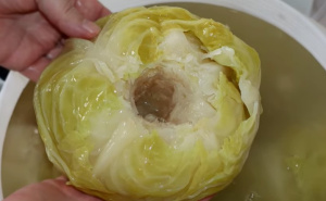 Ove sorte kupusa nikako ne birajte za kiseljenje: Brzo se raspadnu i usmrde čim ih stavite u bure