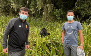 Bh. državljani na putu prema kući: Marin Petrović i Mario Kokoruš oslobođeni iz Malija