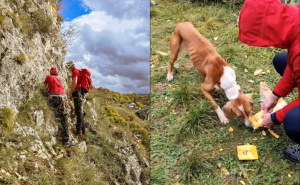 Veliki gest GSS-a: Spasili psa zaglavljenog na stijenama kod Livna