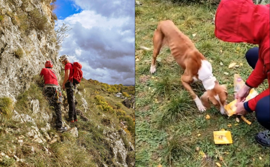Veliki gest GSS-a: Spasili psa zaglavljenog na stijenama kod Livna