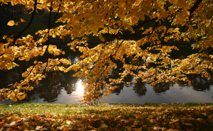 Na Bjelašnici jutros minusi: Objavljena prognoza do subote - mnoge bi mogla iznenaditi